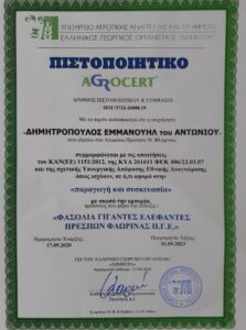 Πιστοποίηση Προστατευόμενης Γεωγραφικής Ένδειξης - Φασόλια Γίγαντες - Ελέφαντες Πρεσπών στην Prespa Top