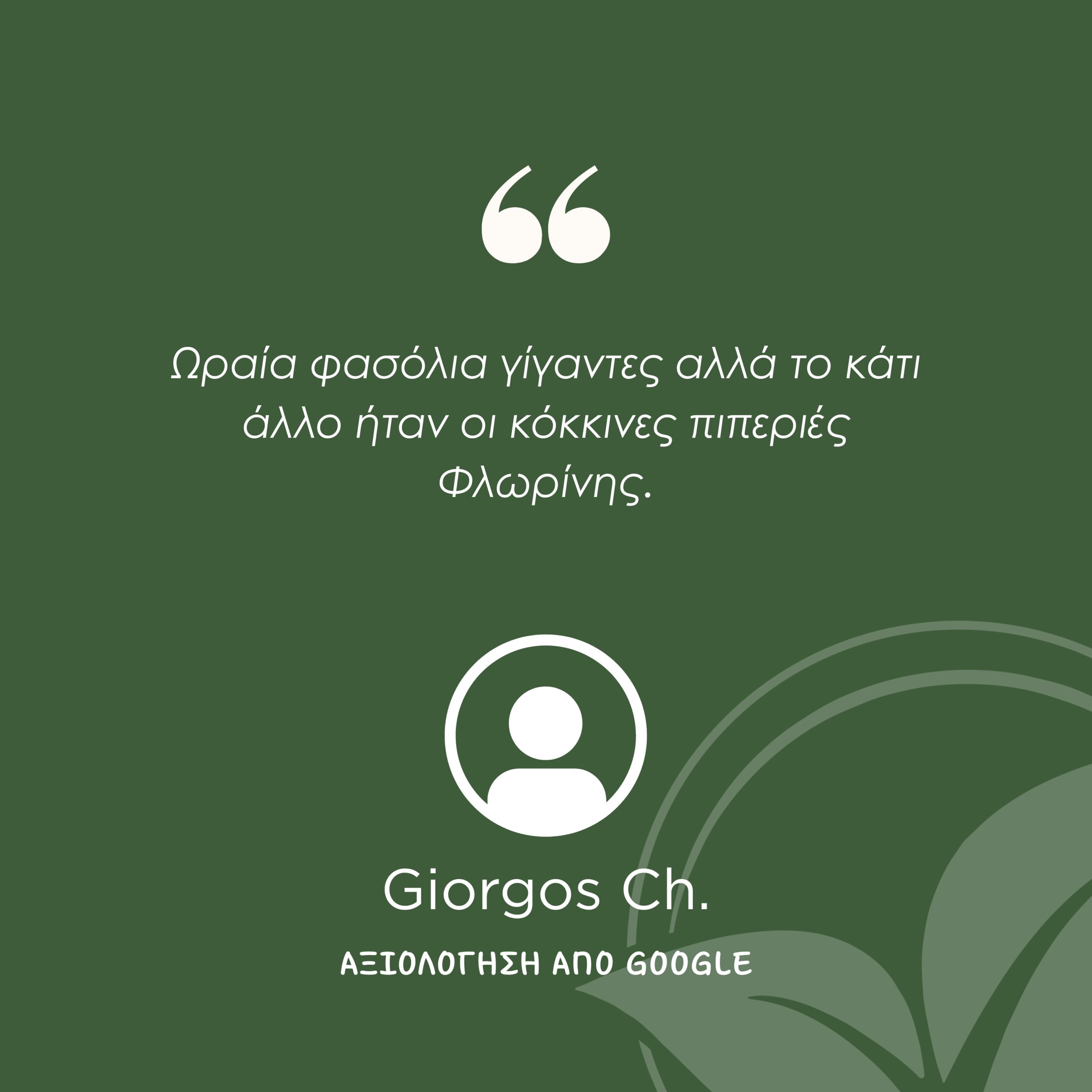 testimonial 3 - prespa top